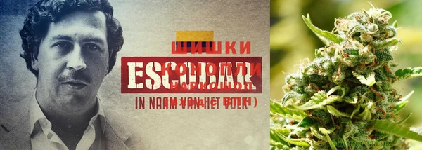 прущий лед Армянск