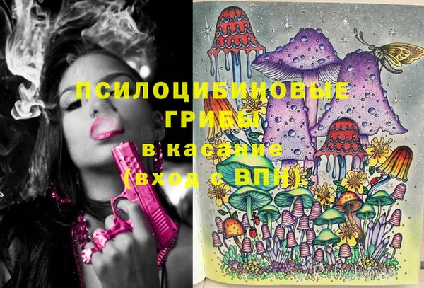 бутират Арсеньев