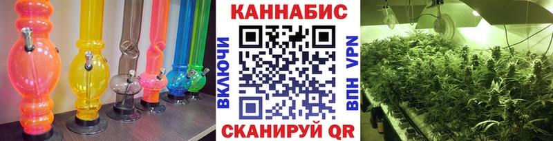 Конопля Bruce Banner  Урюпинск 